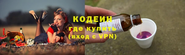 хмурый Мегион