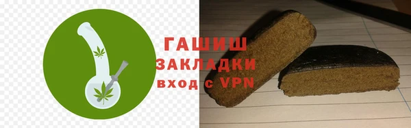 хмурый Мегион