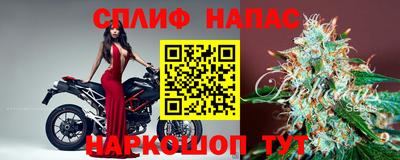 МДПВ Донецк