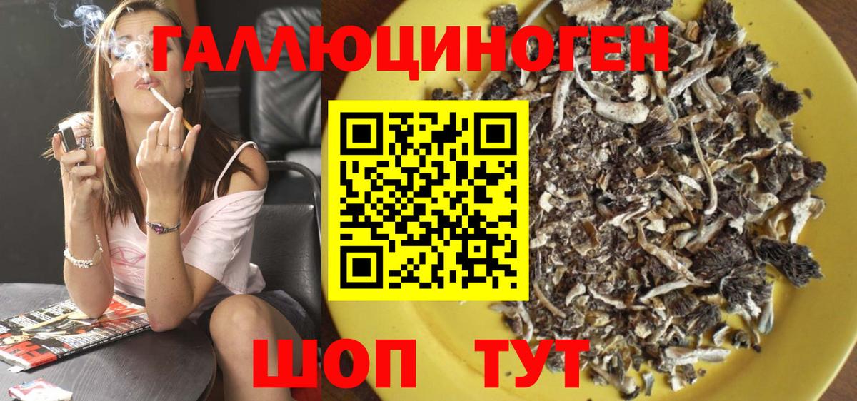 Псилоцибиновые грибы мухоморы Назрань