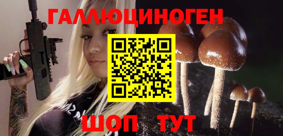 Назрань  Псилоцибиновые грибы мицелий  Вход с VPN 